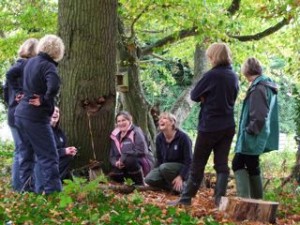 talk to write forest school inset training session at Millfield prep