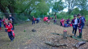 creative outdoor learning at the edge (of the school grounds!)