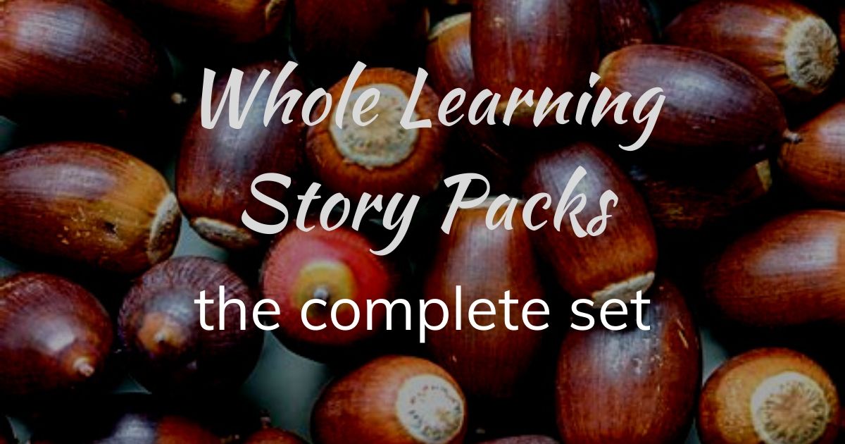 Whole learning story packs-5